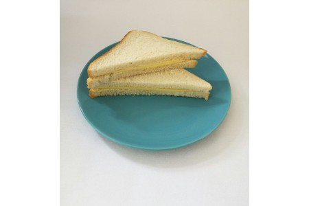 Cheese sandwich on white bread